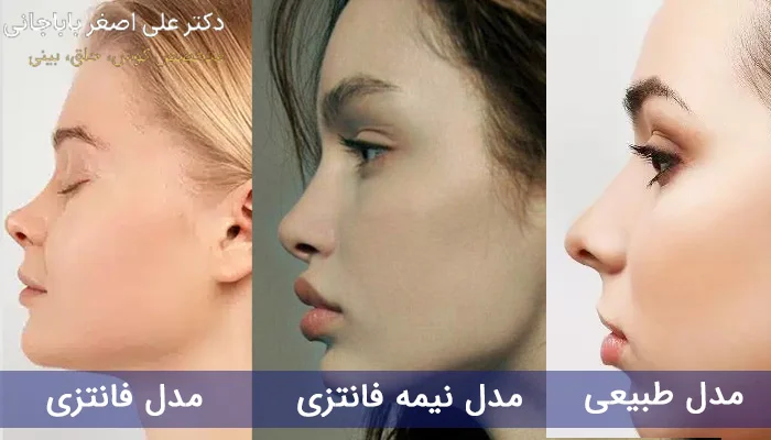3 مدل صورت نشان دهنده بینی نیمه فانتزی با بینی طبیعی و فانتزی